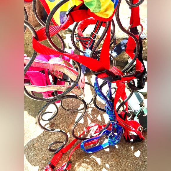 Pet accessories-select 4/$28 with discounted shipping. Build your own package! - Picture 8 of 16